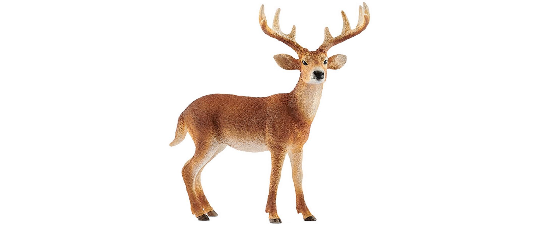 Spielzeugfigur Wild Life WeisswedelhirschSpielzeug-Tierfigur