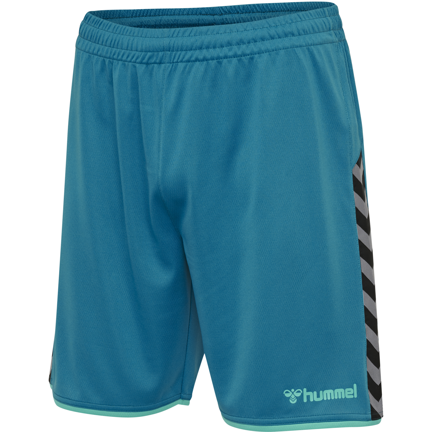 hmlAUTHENTIC POLY SHORTS