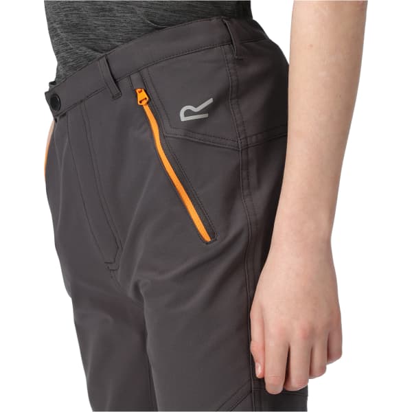 Pantalon randonnée REGATTA TECH MOUNTAIN TRS SEAL GREY (APRICOT CRUSH)