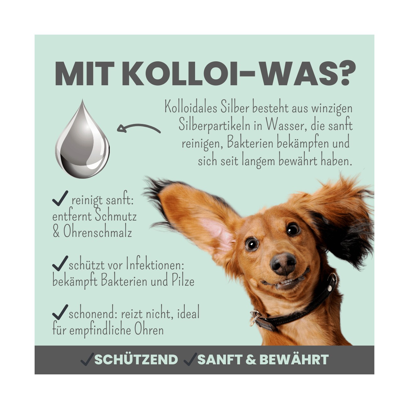 noms+ 2-in-1 Ohrfein Reinigung & Pflege für Hunde & Katzen 50ml