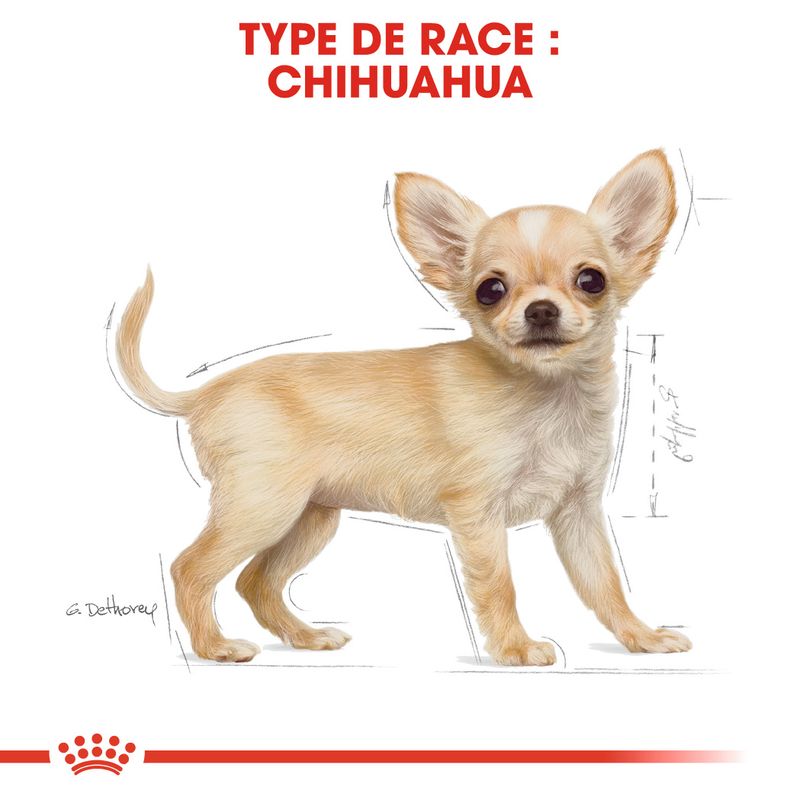 Royal Canin Chihuahua Puppy sur bitiba.fr