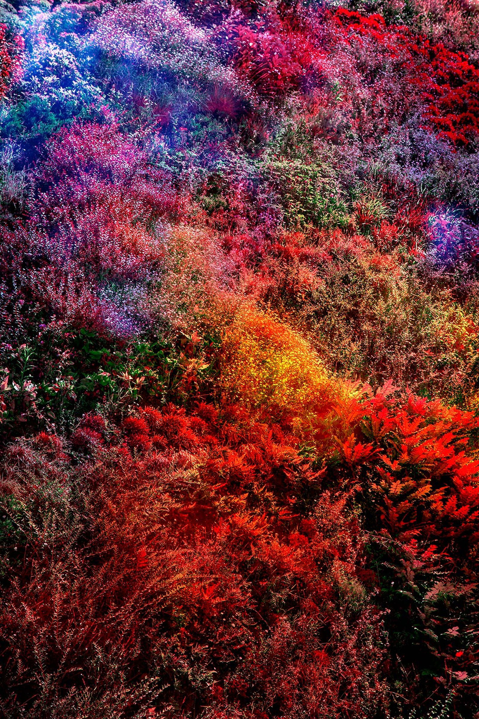 Wall of Nature XIII by Viet Ha Tran - Limited Edition. Edition of: 150. Signed.