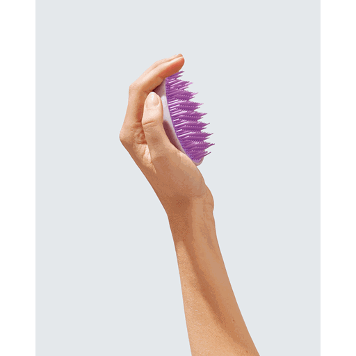 Hairlust Wet Hair Detangler Brush, Lilla