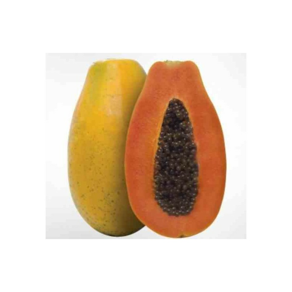 Papayer carica papaya var. Sweet sense taille pot de 7 litres ? 60/80 cm - rose