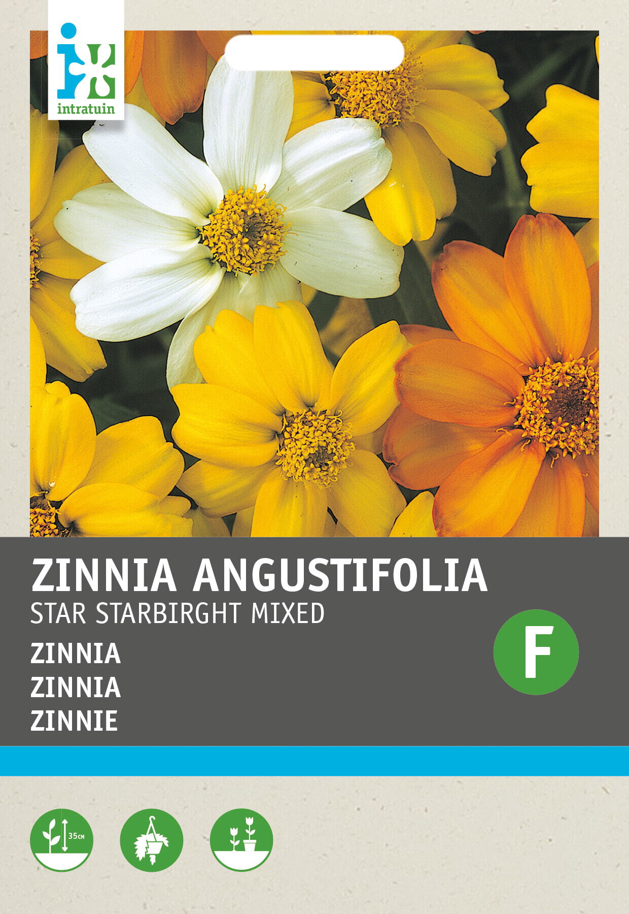 Intratuin bloemenzaad Zinnia gemengd (Zinnia elegans thumbelina mix)