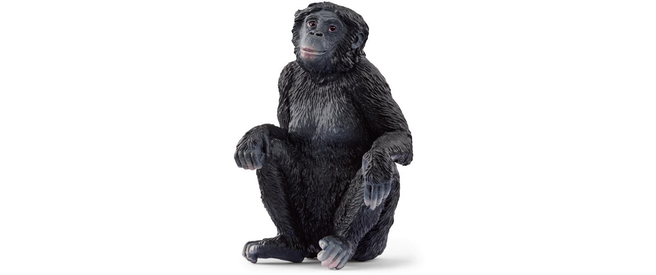 Spielzeugfigur Wild Life Bonobo WeibchenSpielzeug-Tierfigur