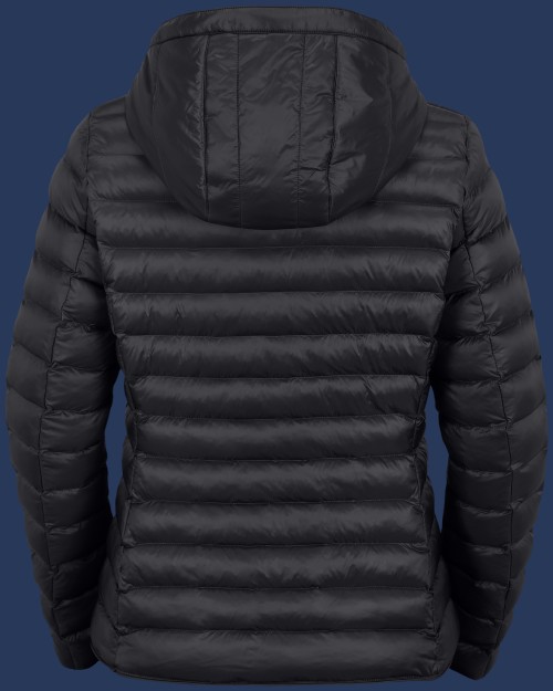 Italy Hood MoShiHiTec, Darknavy