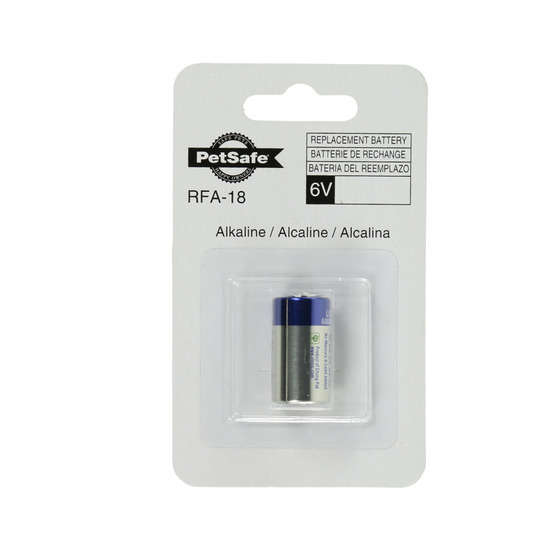 Pile alcaline (6 volts)