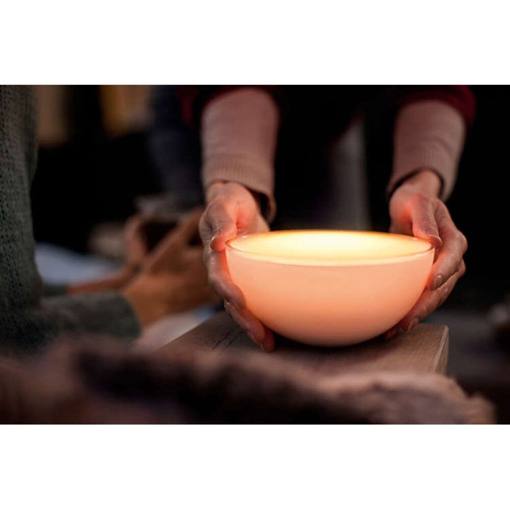 LED-BORDLAMPE PHILIPS HUE GO WHITE & COLOR AMBIENCE