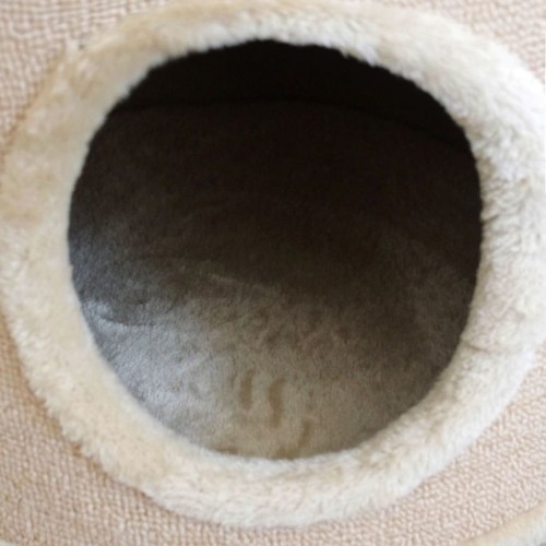 Casinha bege para gatos com poste para arranhar