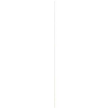 Schaaflat grenen 4x35 mm, lengte 270 cm