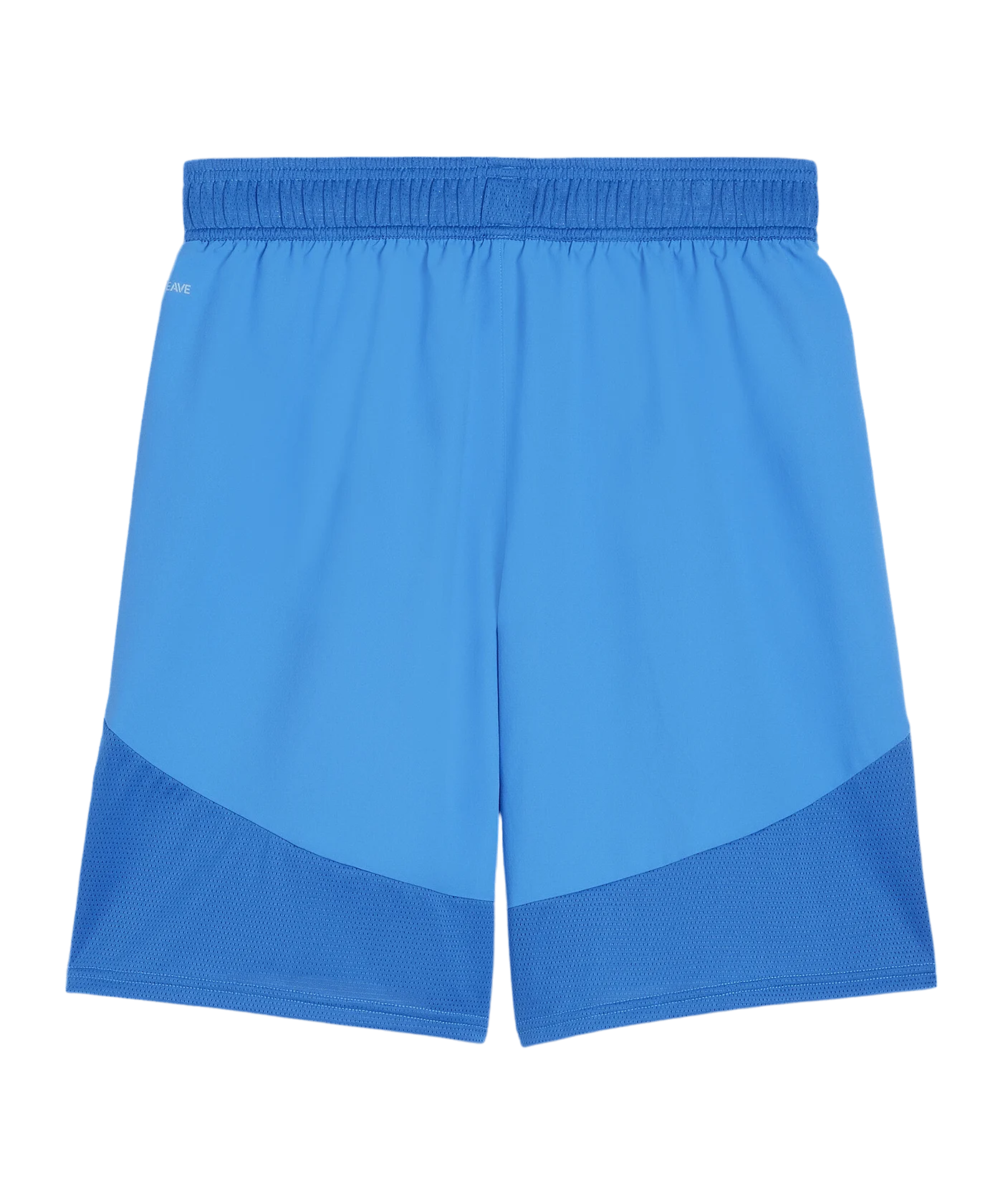 PUMA teamFINAL Short Blau Weiss Blau F02