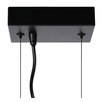 Lucide hanglamp Fabian zwart 20x25 cm (lxb)