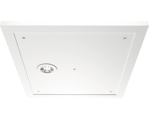 Breuer Modern Line rechthoekige douchebak 80x90x3,5 cm 1885011000015