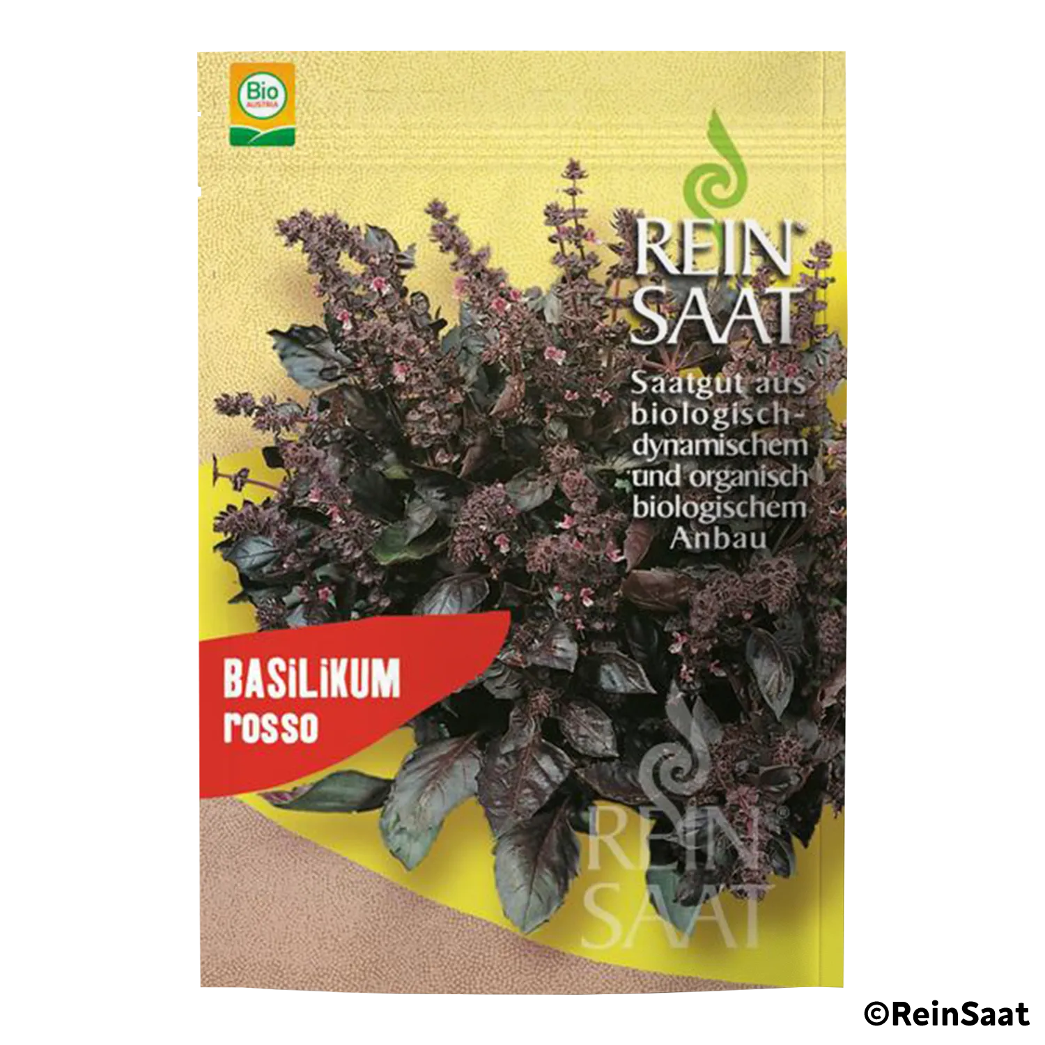 Saatgut Basilikum Rosso