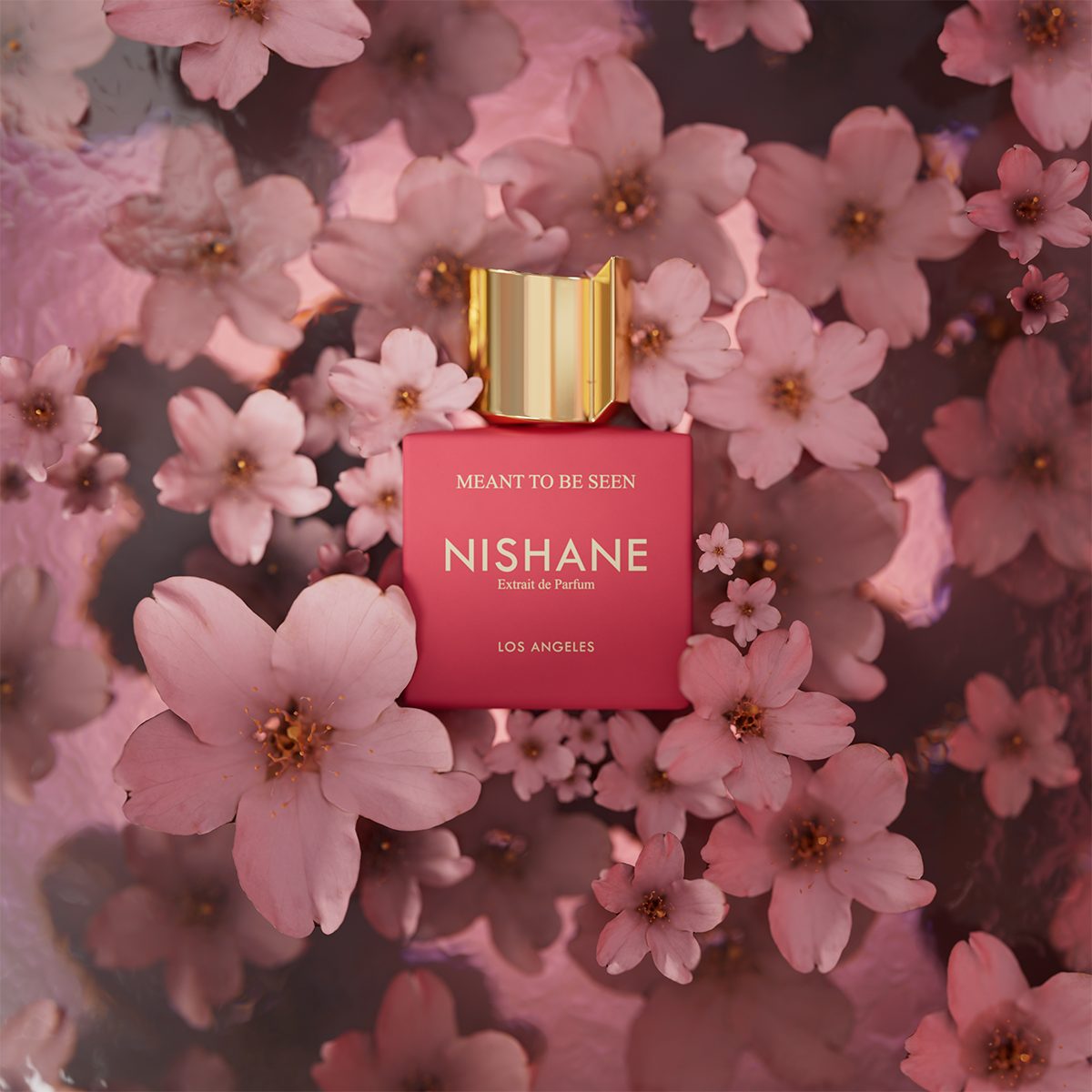 Meant To Be Seen Extrait de Parfum 50ml