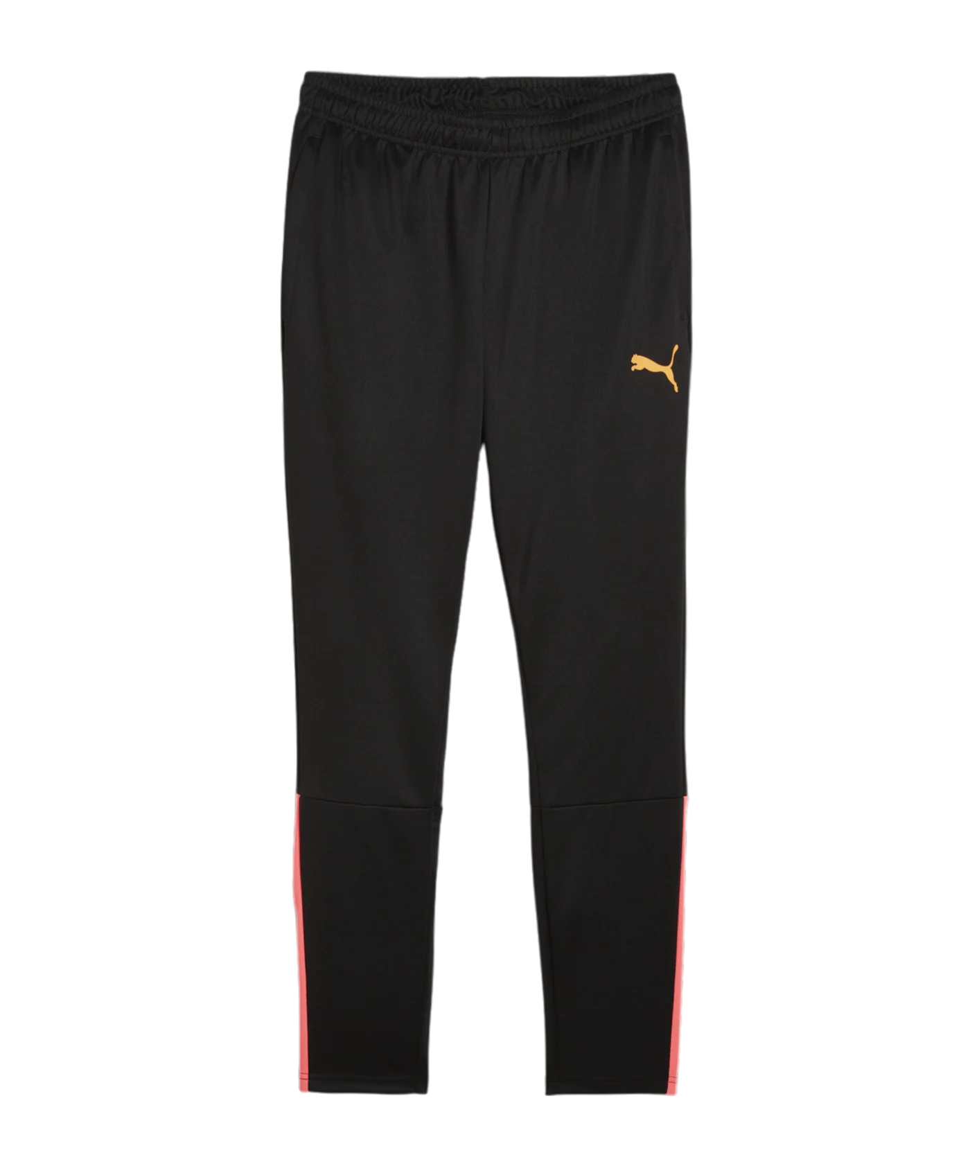 PUMA teamLIGA Trainingshose Schwarz F57