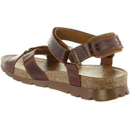 Panama Jack - SAMBO EXPLORER C4 Marr