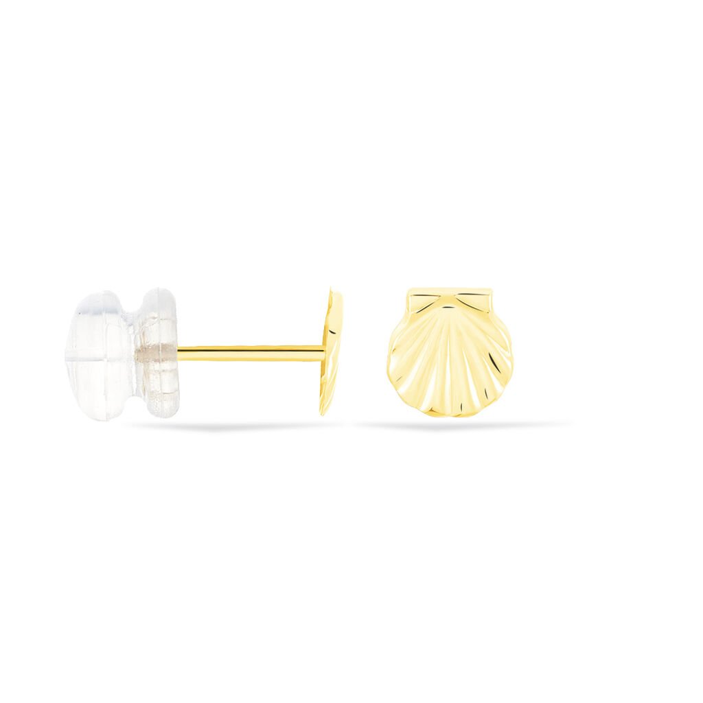 Boucles D'oreilles Puces Franzine Coquillage Or Jaune