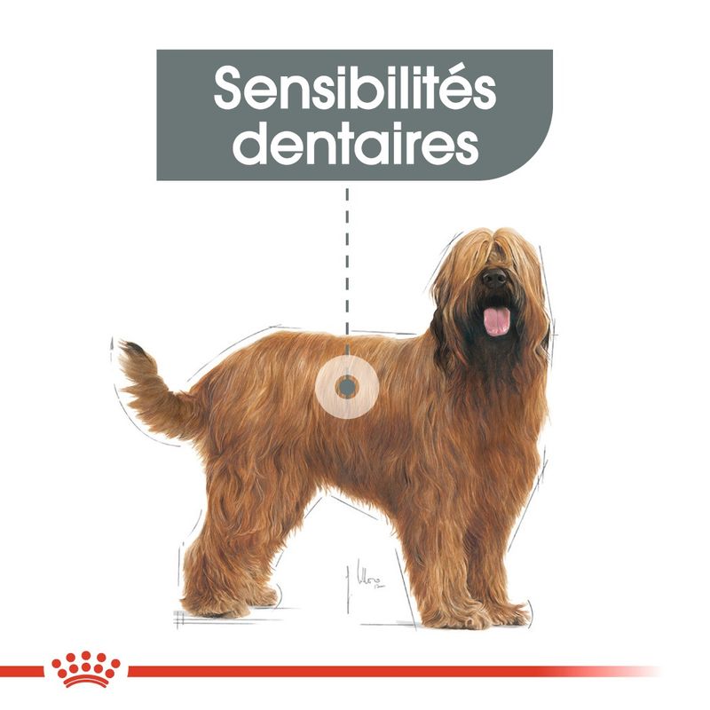 Royal Canin Maxi Dental Care