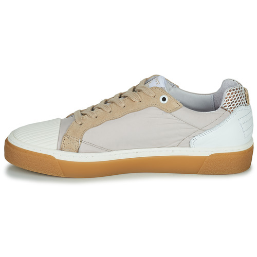 Philippe Morvan - HUSKY - Beige
