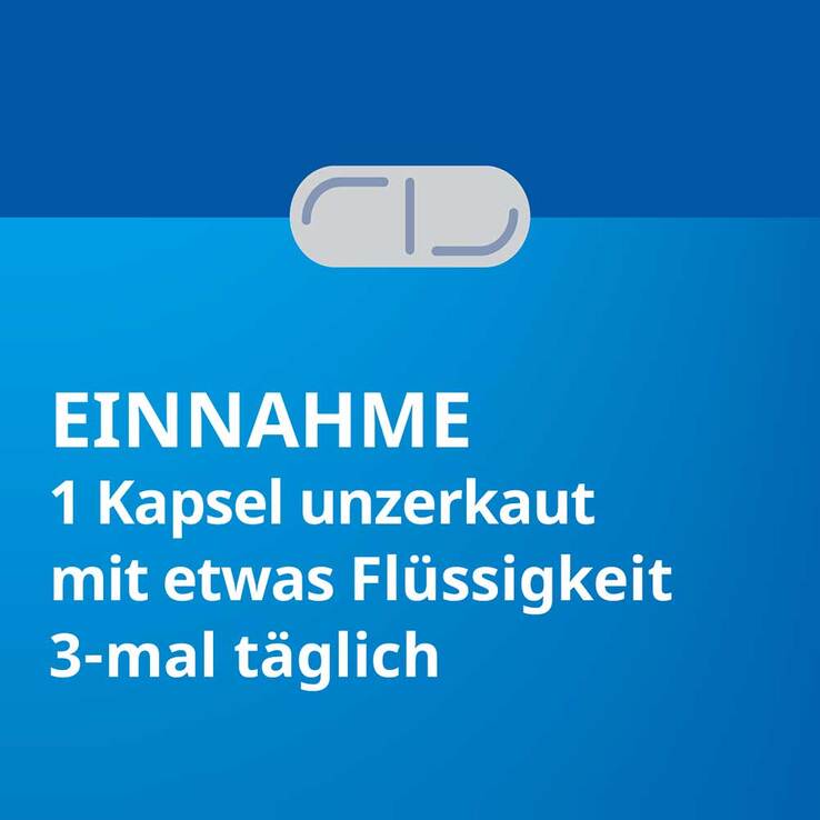 Silymarin STADA 109 mg Hartkapseln, 100 St