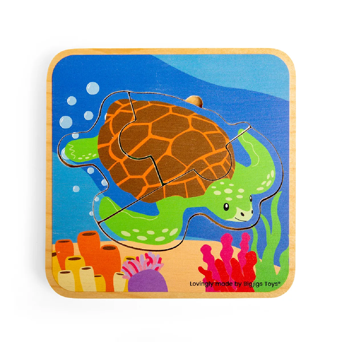 Bigjigs Toys Cycle de vie Tortue de mer
