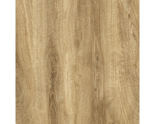 Porseleinen terrastegel Limewood Roble gerectificeerde rand 60 x 60 x 2 cm