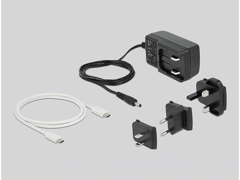 Delock Docking- und Klonstation 63084 2x 2.5