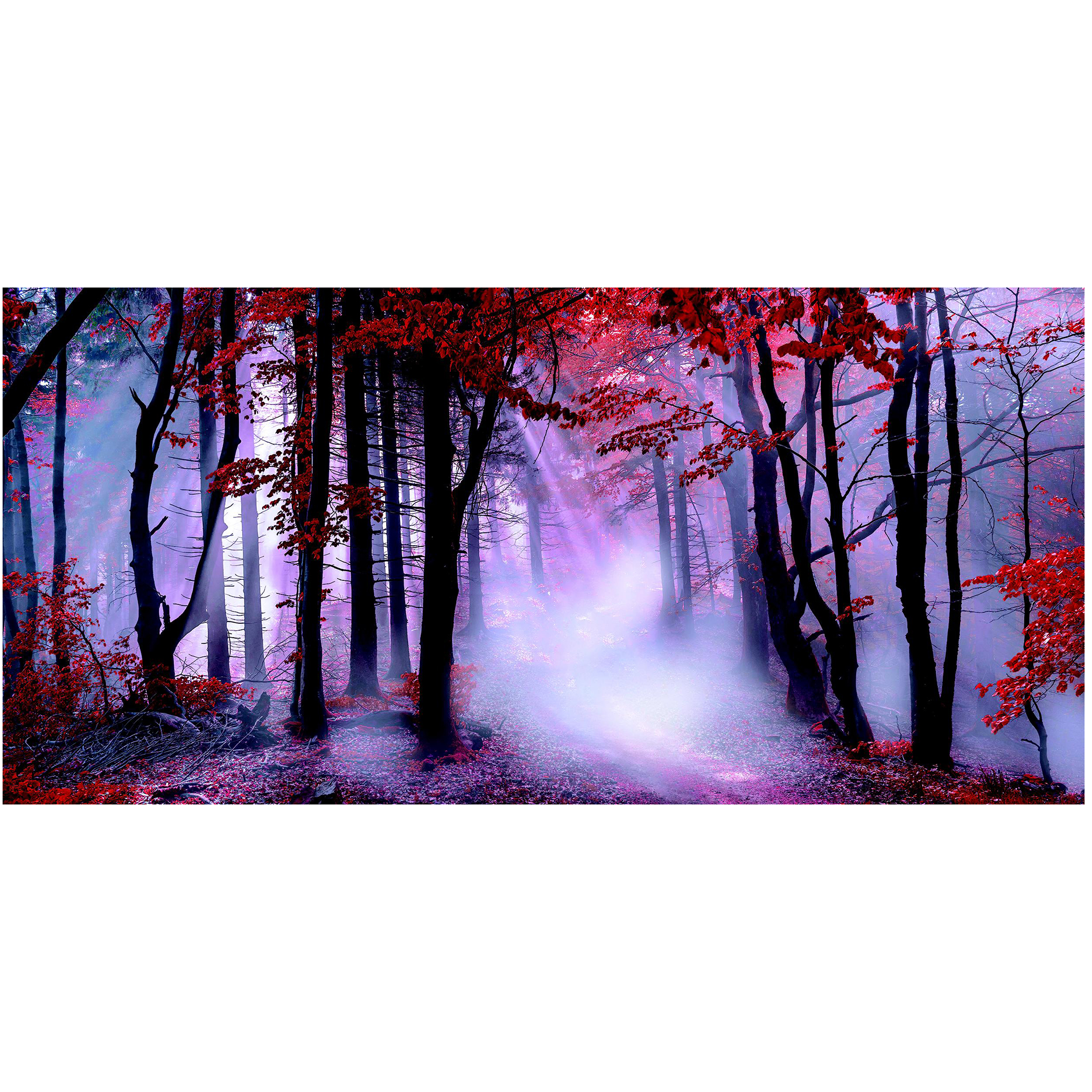 Keilrahmenbild ROTER WALD - mehrfarbig - 70x33 cm