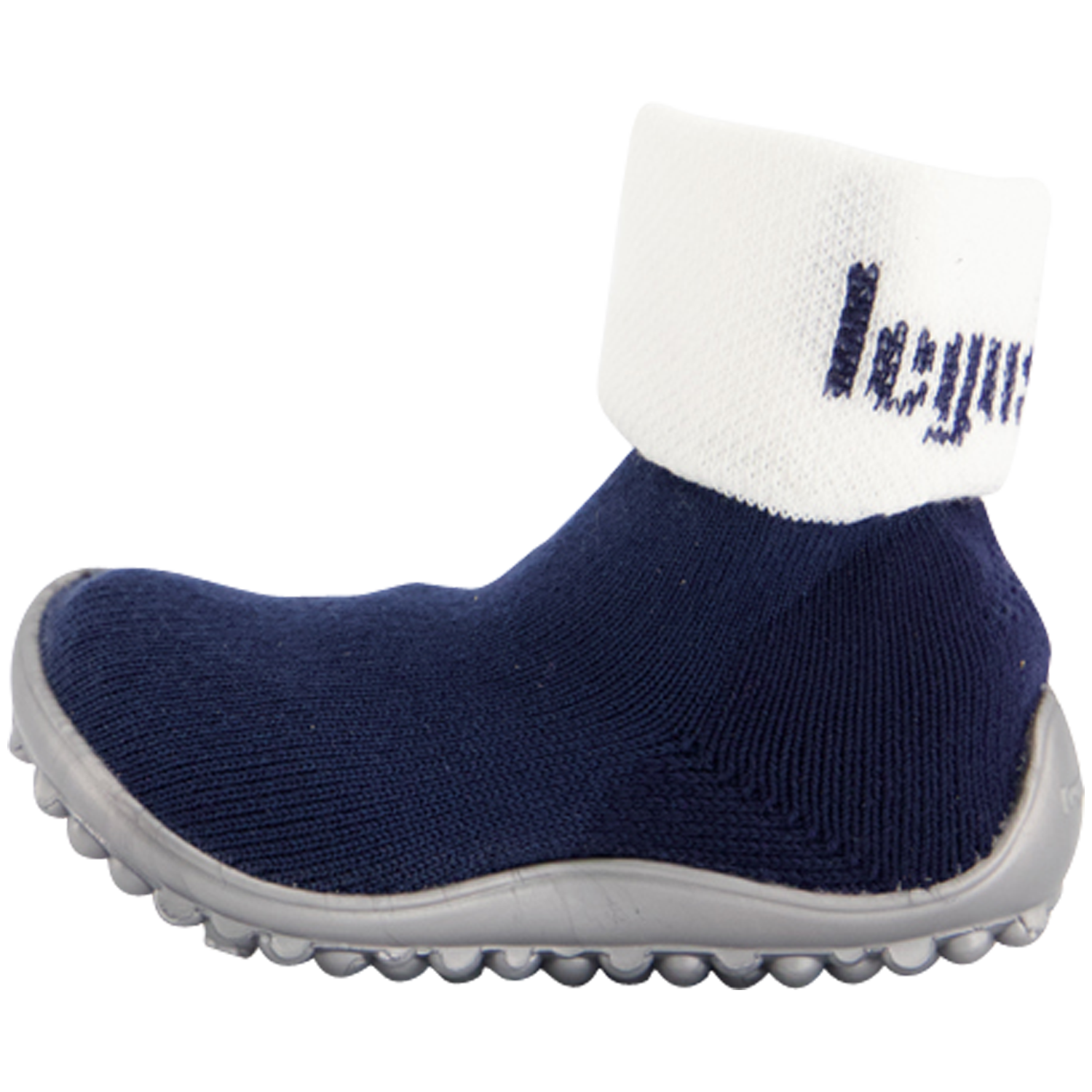 Leguano Leguanito