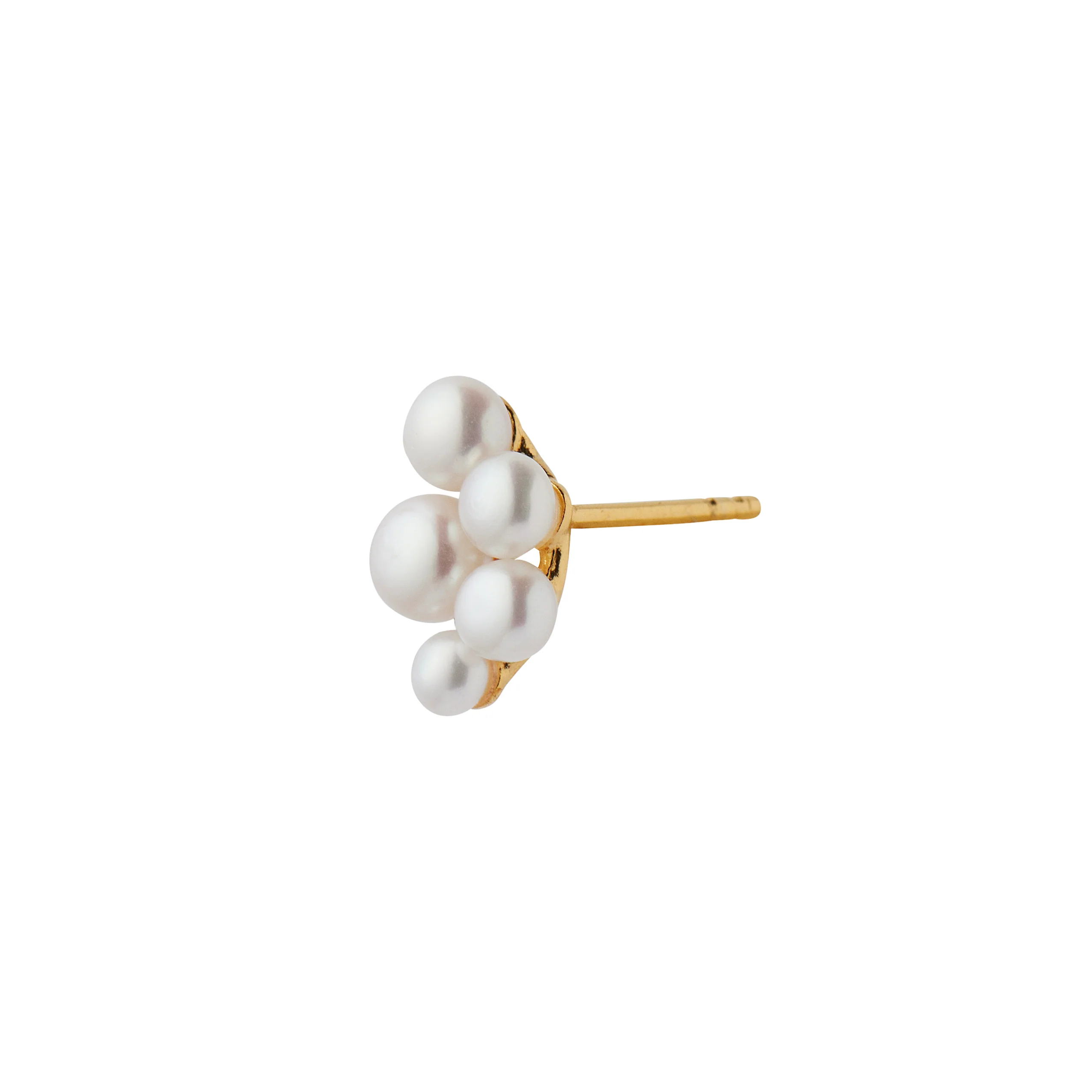 STINE A Jewelry  Bloom pearl berries ørering - forgyldt