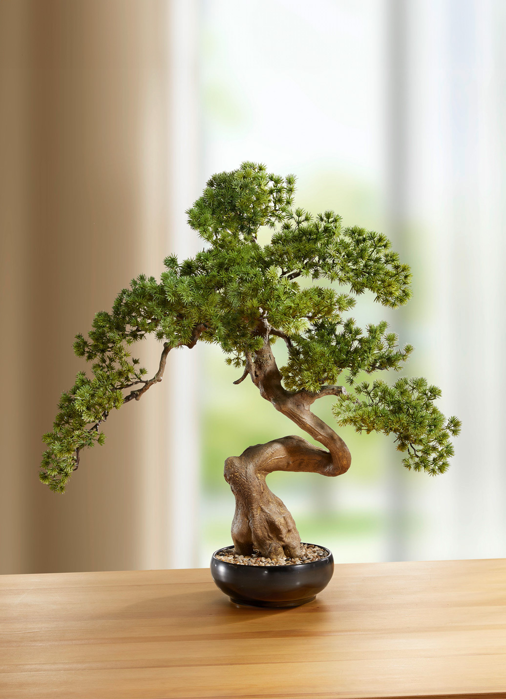 Bonsai in Keramikschale