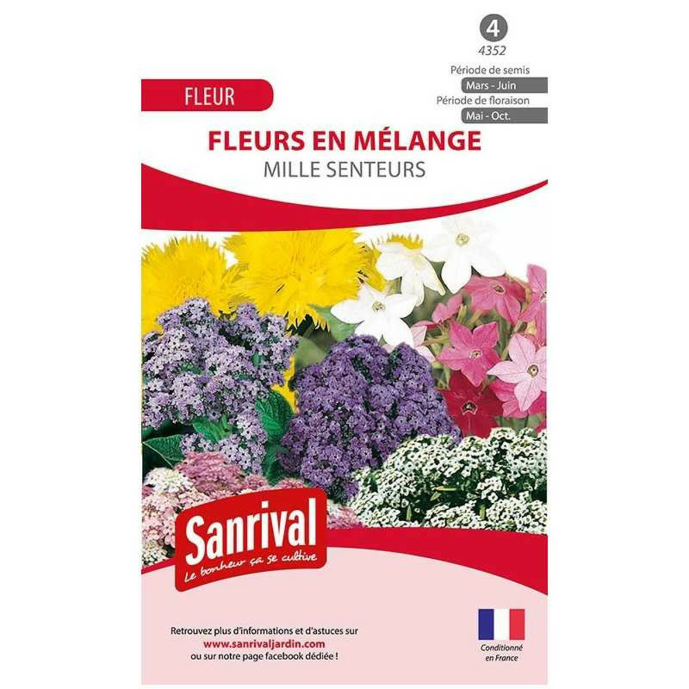 Mélange de fleurs odorantes