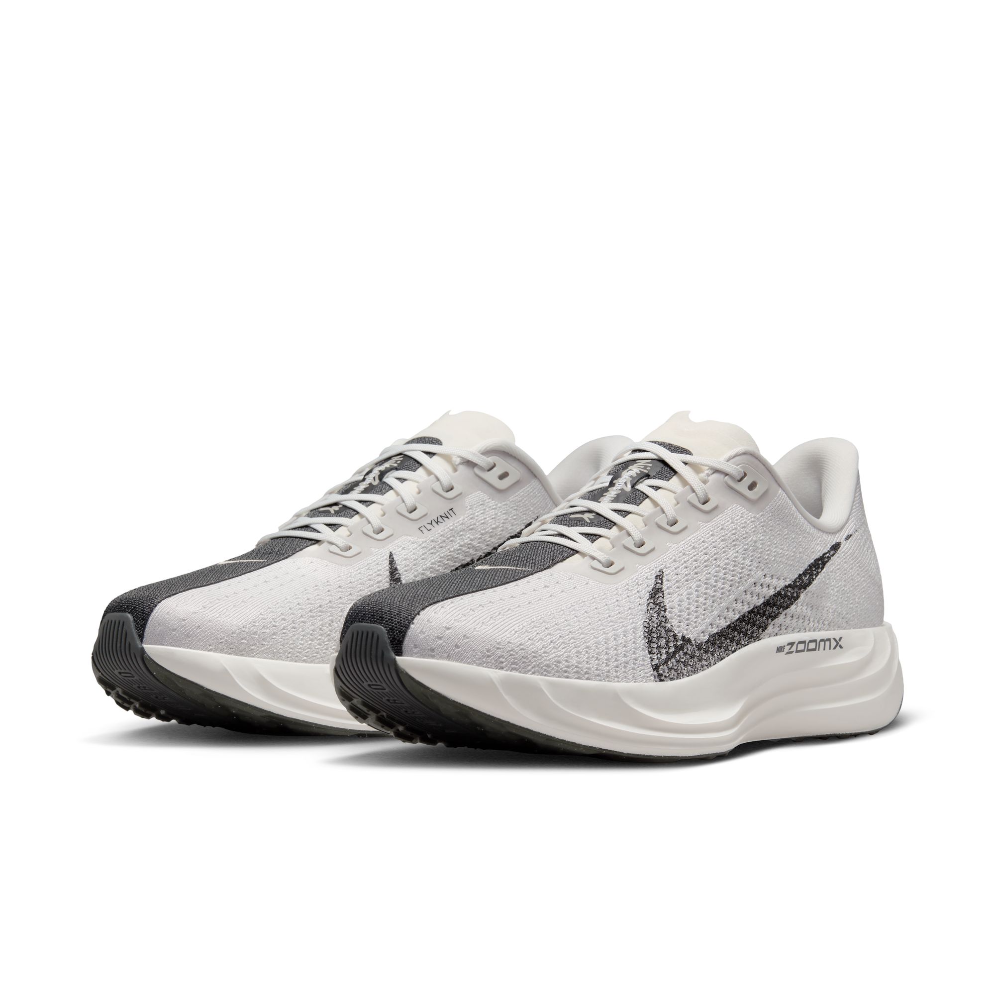 Pegasus Plus Herre 001/Platinum Tint/College Grey/Anthracite/Black
