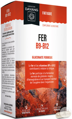 Dayang Fer B9 B12 30 Gélules