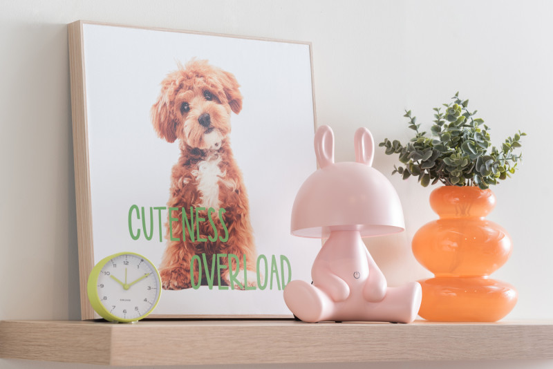 Wall Art Puppy Cuteness Overload