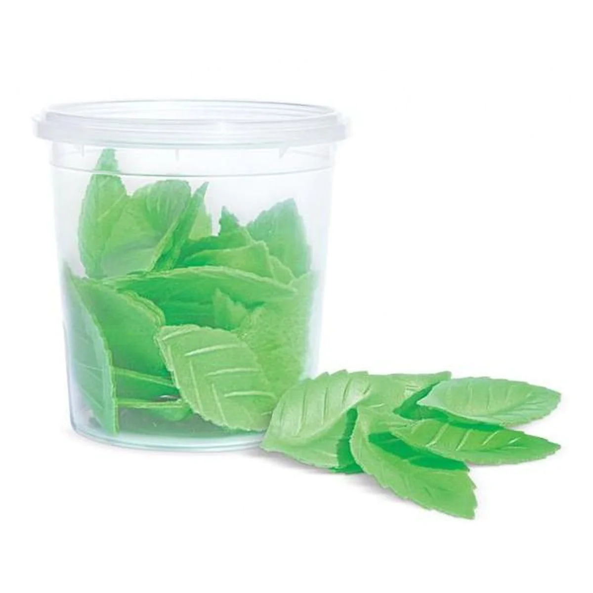 Décors azymes 48 feuilles vertes Scrapcooking