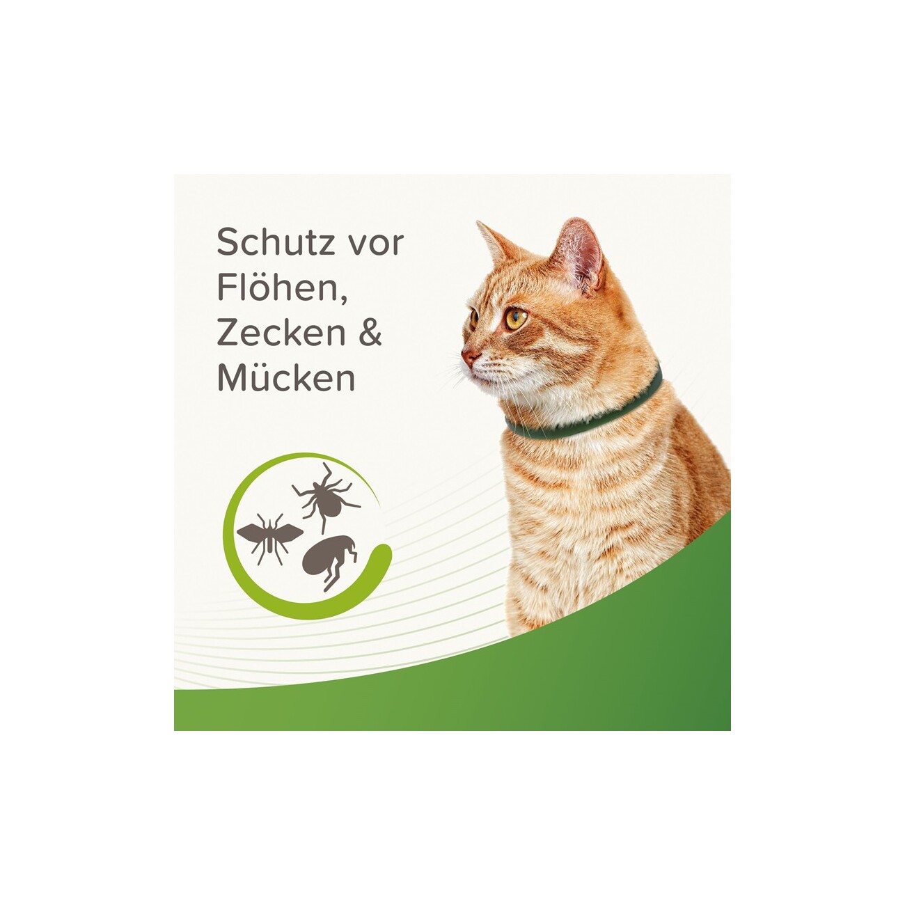 Beaphar Zecken- und Flohschutz Halsband für Katzen 35cm