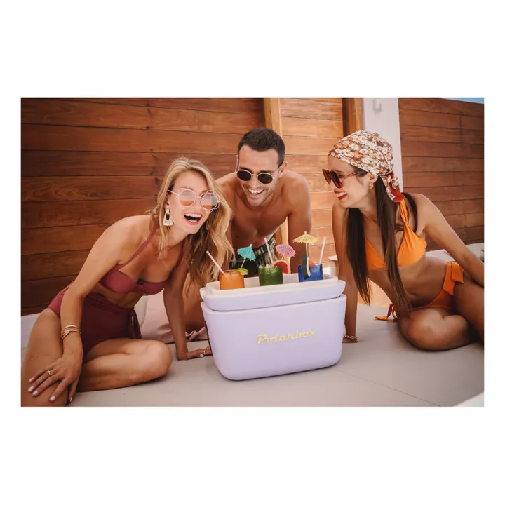 Polarbox Glacière avec anse colorée | Lilas