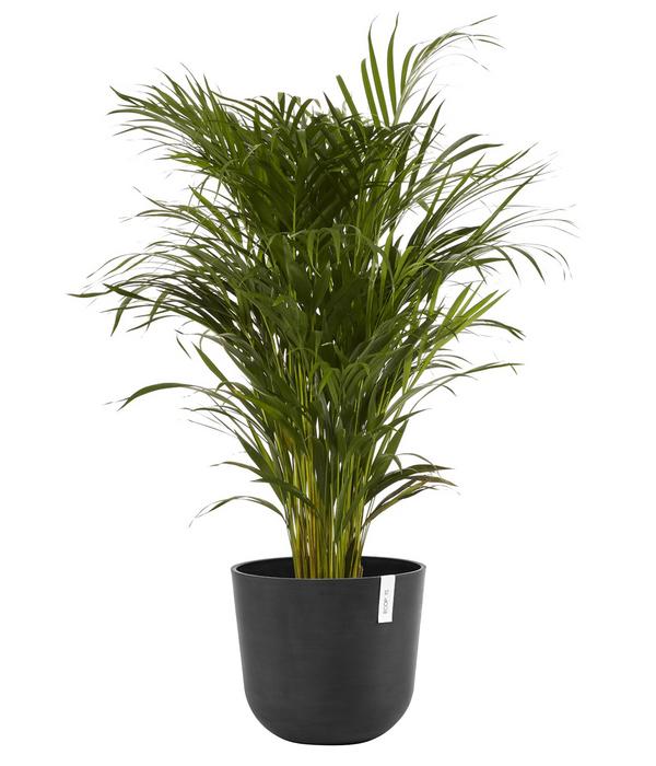Ecopots Kunststoff-Topf Oslo, rund
