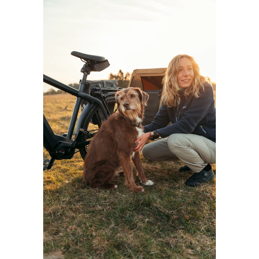 CROOZER Hundeanhänger Dog Mikke Colourful Journey