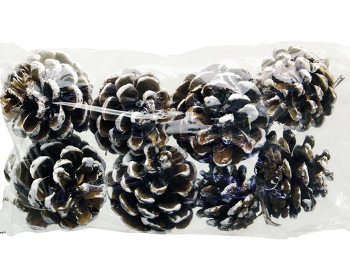 Dennenappels met witte punten, ca. 5 cm, 8 stuks.