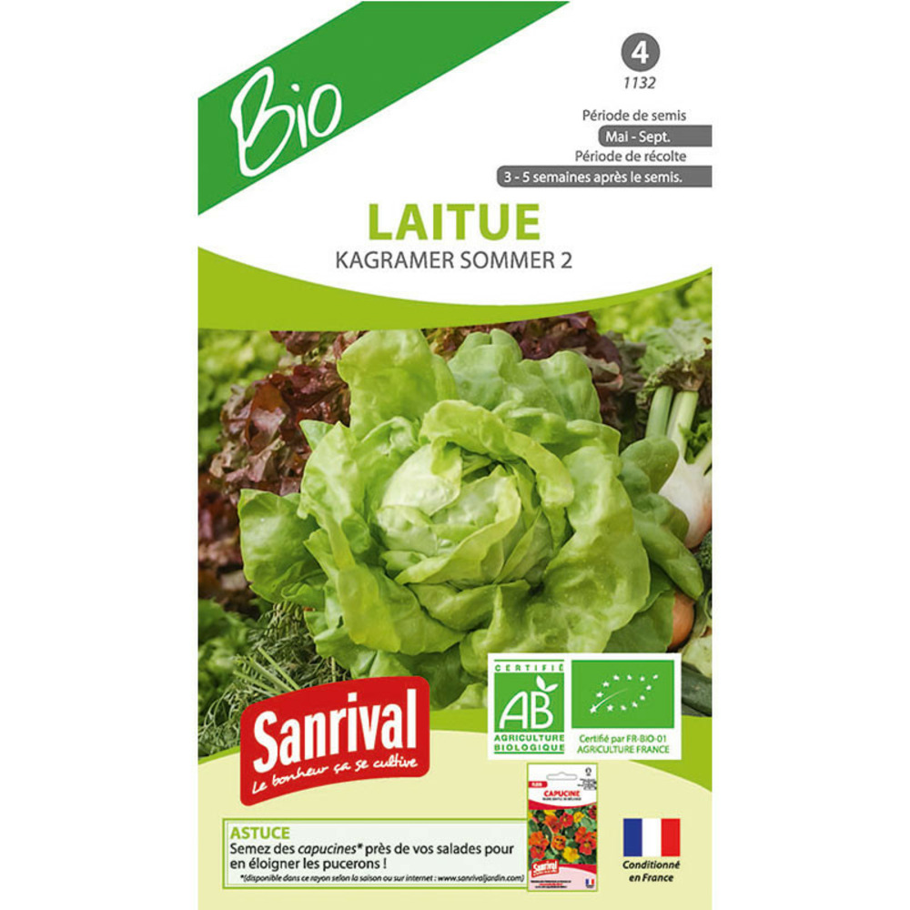 Graines laitue kagramer sommer 2 bio