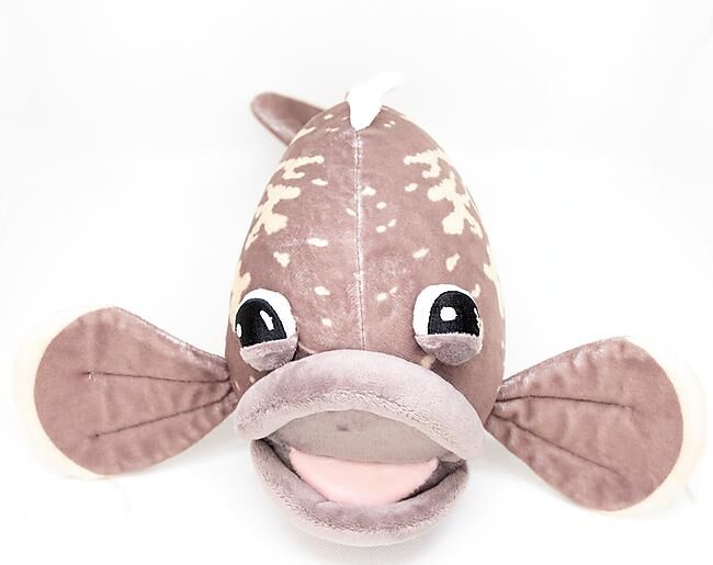 LES PELUCHES DE MARIUS - PELUCHE MEROU TOUT COURT