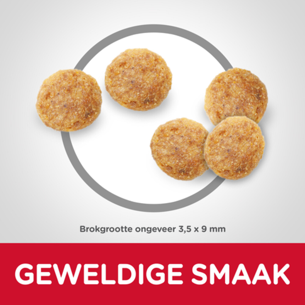 6x Hill's Science Plan Kattenvoer Mature Adult Kip300 gr