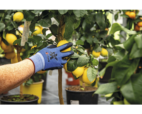 KinetiXx X-Garden tuinhandschoen, maat L
