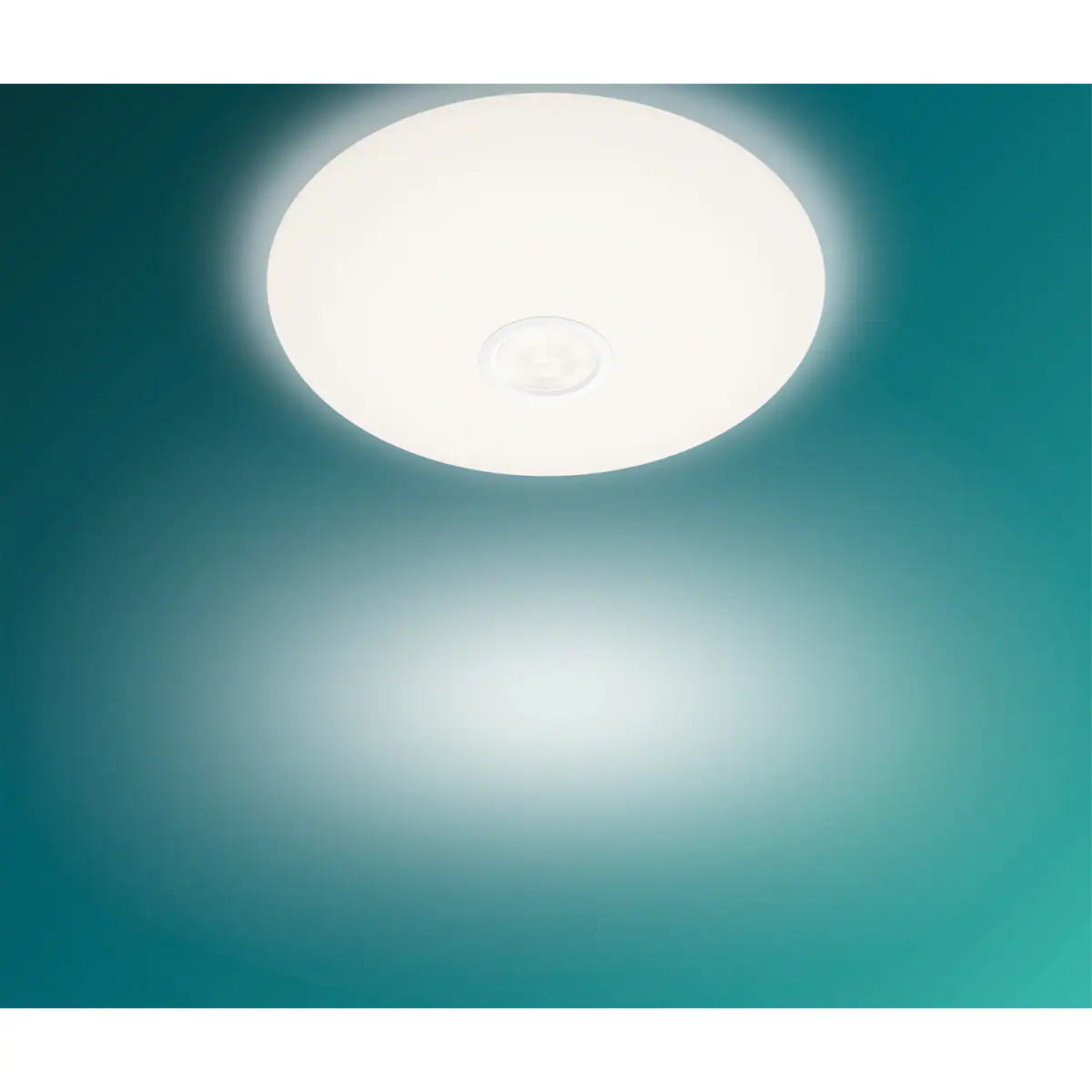 Philips Mauve taklampe 6W
