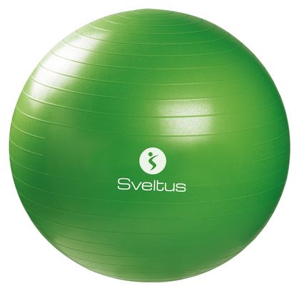 Gymball boîte Sveltus 65cm