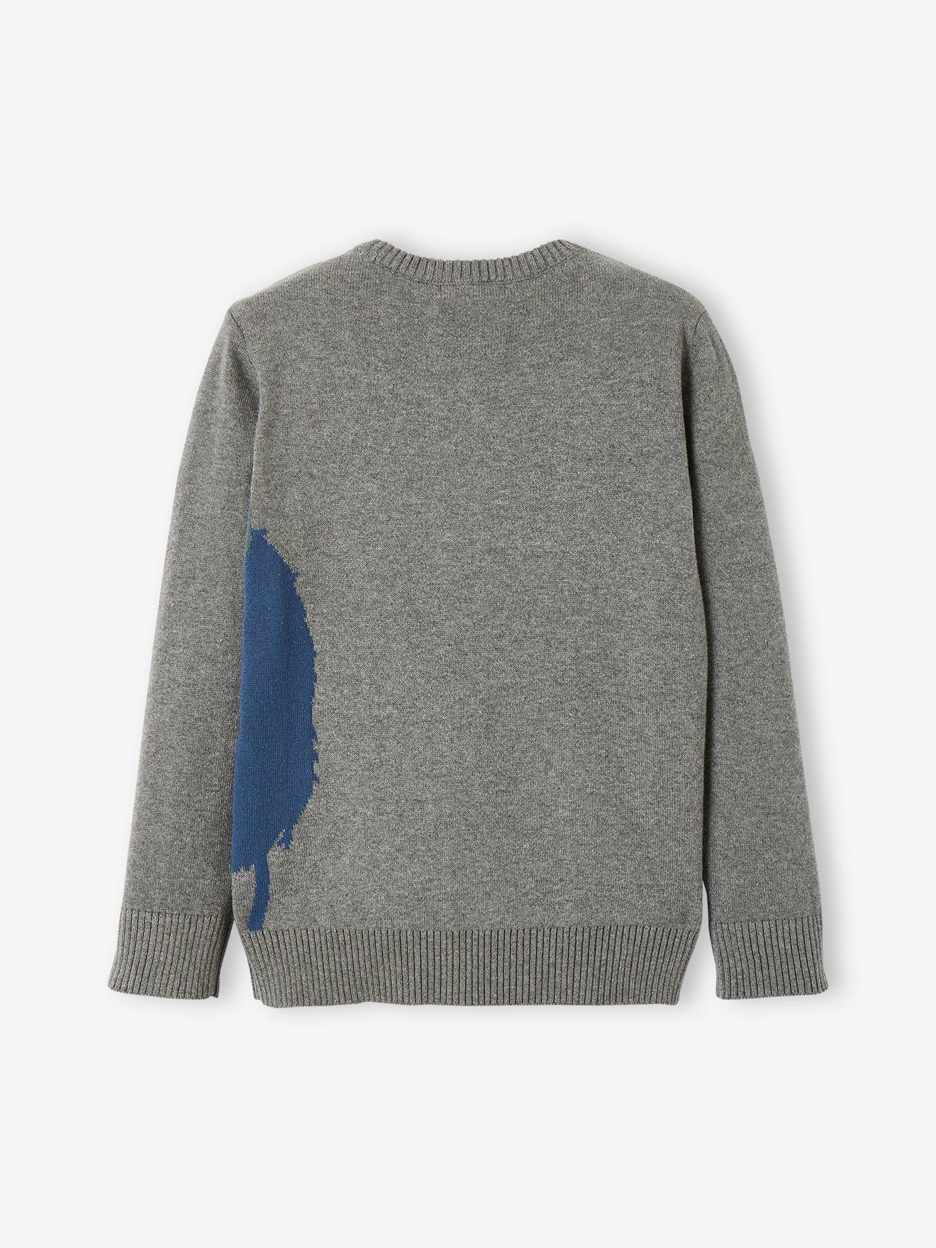 Suéter jacquard com dinossauro, para meninos, azul médio liso com estampas.